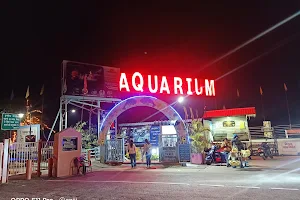 Fish Aquarium Gallery image