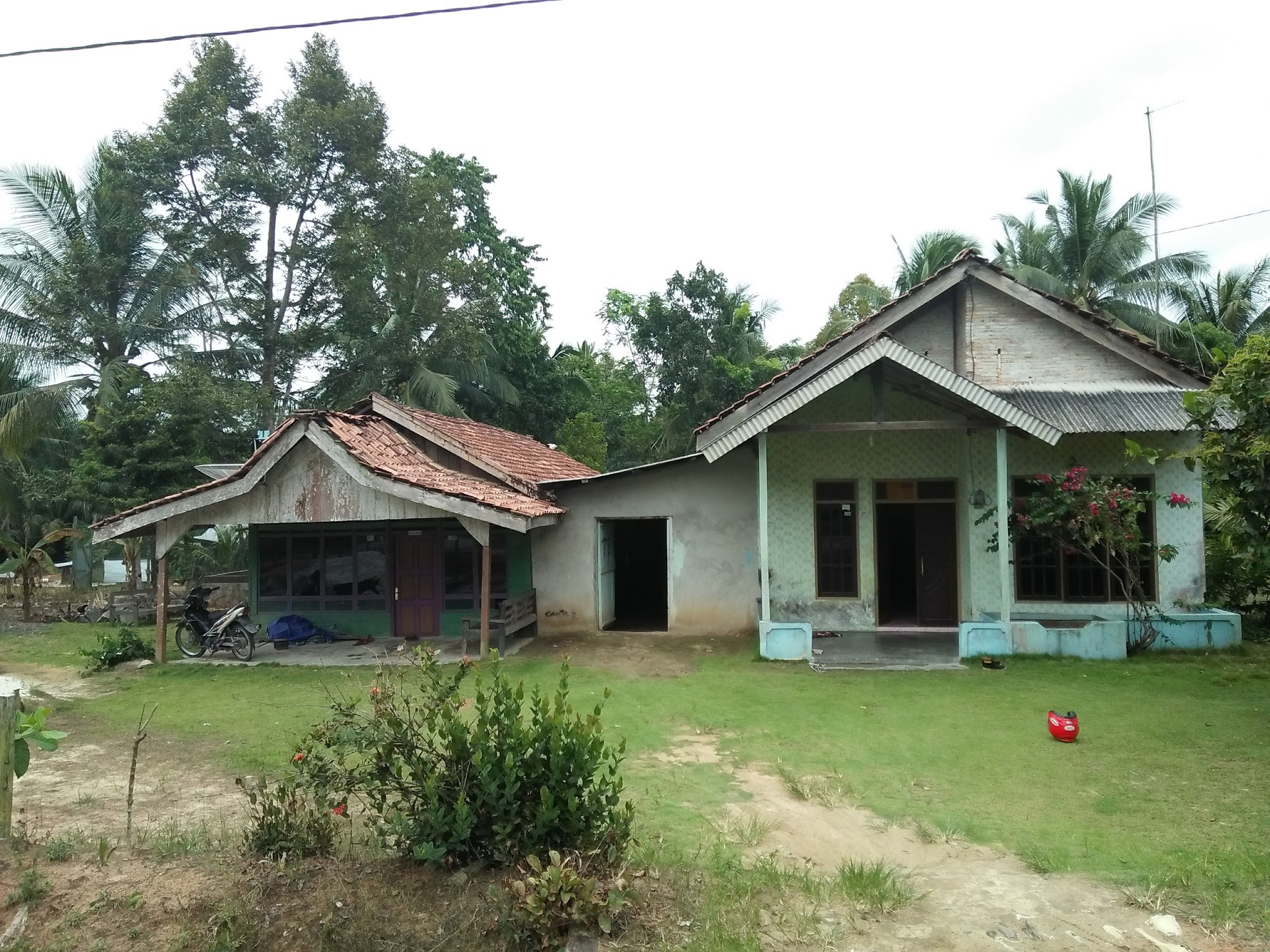 Foto TK.  Bangun Makarti Jaya, Kab. Kotawaringin Barat