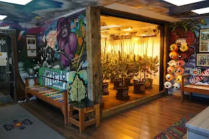 High Country Healing Silverthorne Dispensary image