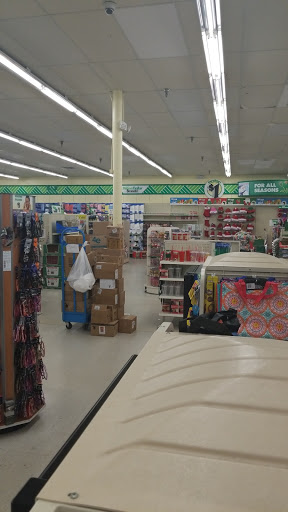 Dollar Store «Dollar Tree», reviews and photos, 4920 Allen Rd, Zephyrhills, FL 33541, USA