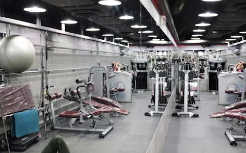 Titanium Shark Gym image
