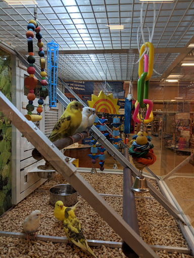 Pet Supply Store «PetSmart», reviews and photos, 1800 Evans Rd, Melbourne, FL 32904, USA