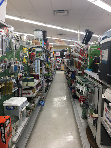 Hardware Store «Charlestown Ace», reviews and photos, 5 Austin St, Charlestown, MA 02129, USA