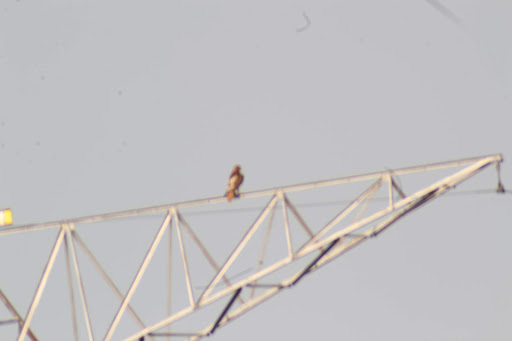 Winery «Quarry Hill Winery», reviews and photos, 8403 Mason Rd #2, Berlin Heights, OH 44814, USA