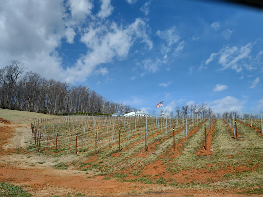 Tourist Attraction «Blue Ridge Wine Excursions», reviews and photos, 853 W Main St #103, Charlottesville, VA 22903, USA