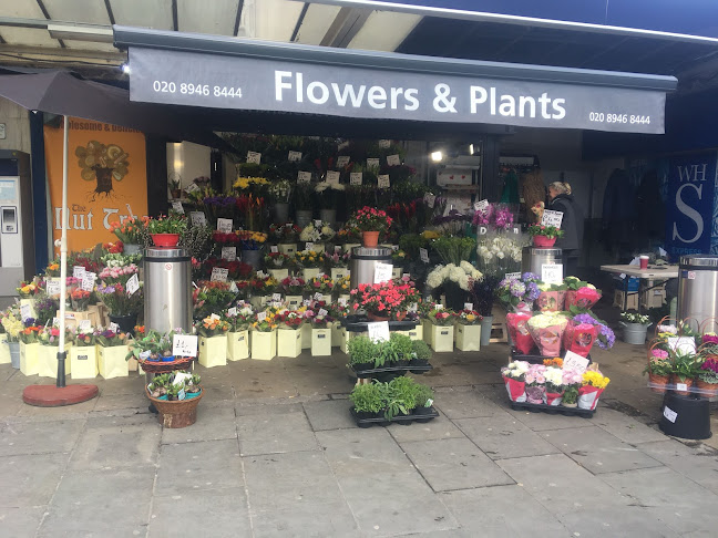 Wimbledon Flower Kiosk - Florist