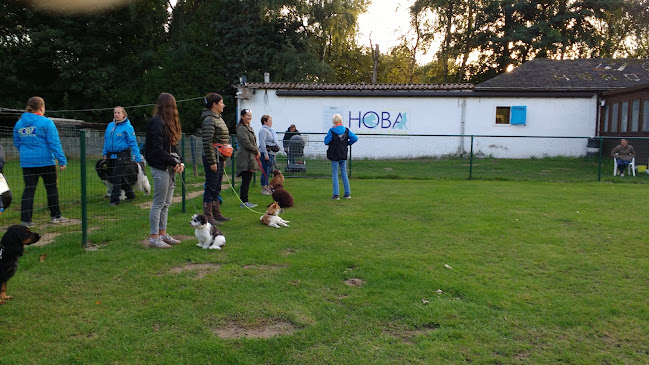 Hondenschool Hond en Baas HOBA - Vilvoorde