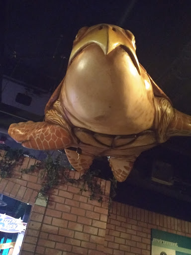 Museum «Guinness World Records Museum», reviews and photos, 329 Alamo Plaza, San Antonio, TX 78205, USA