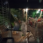 Photo n°9 de l'avis de Giuseppe.r fait le 12/07/2021 à 06:12 sur le  Hawaiki à Bellaria - Igea Marina