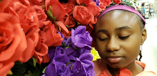 Craft Store «Hobby Lobby», reviews and photos, 7050 Amador Plaza Rd, Dublin, CA 94568, USA