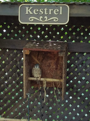 Tourist Information Center «Woodlands Nature Station», reviews and photos, 3146 Silver Trail Rd, Cadiz, KY 42211, USA