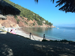 Foto di Alkioni beach area dell'hotel