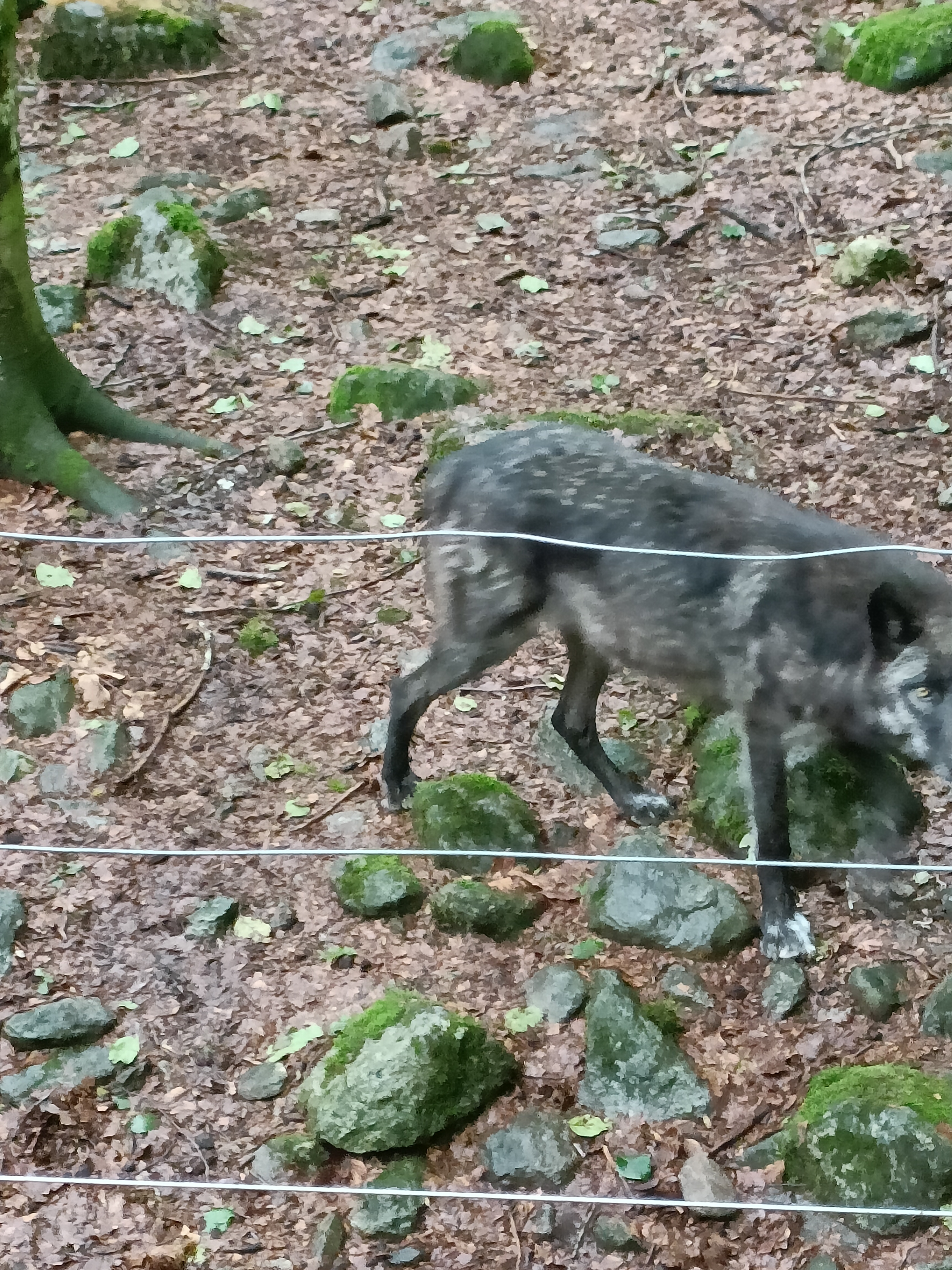 Photo n° 1 de l'avis de Martine.e fait le 14/06/2023 à 14:49