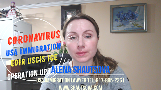 Immigration Attorney «Alena Shautsova law offices», reviews and photos