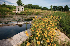 Coldwater Spring