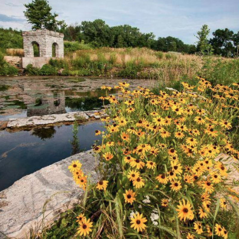 Coldwater Spring