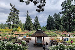 International Rose Test Garden