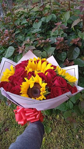 Floreria Garcia – Quistaj