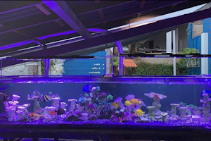 Aqua Lumini Tech - Soluções em iluminação para aquários image