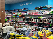 Comentarii opinii despre NIEGO HYPER PET