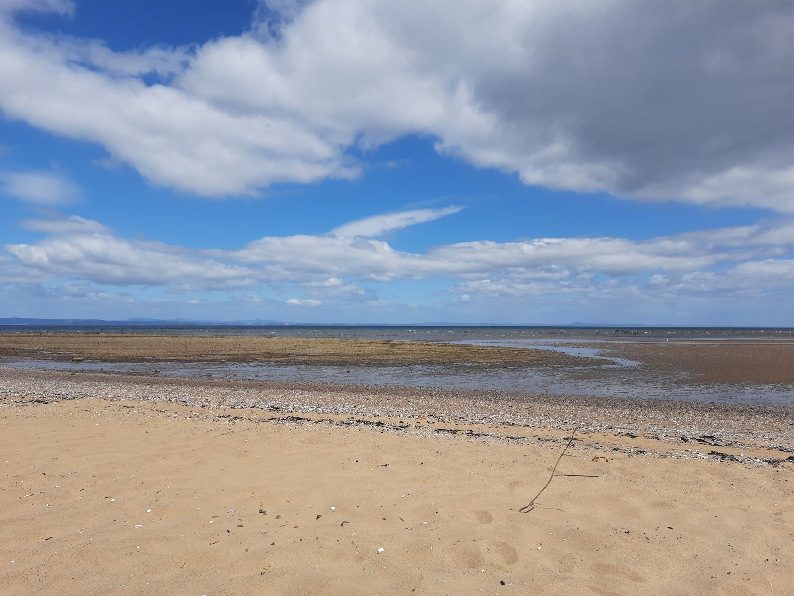 Musselburgh Beach photo #9