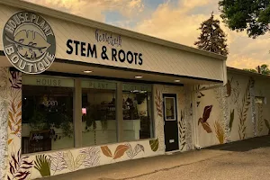 Stem and Roots: House Plant Boutique image