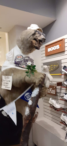 Shoe Store «Towson Bootery», reviews and photos, 810 Kenilworth Dr, Towson, MD 21204, USA