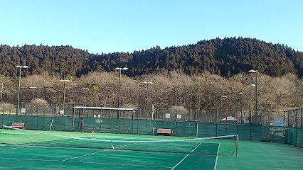 丸山公園テニスコート