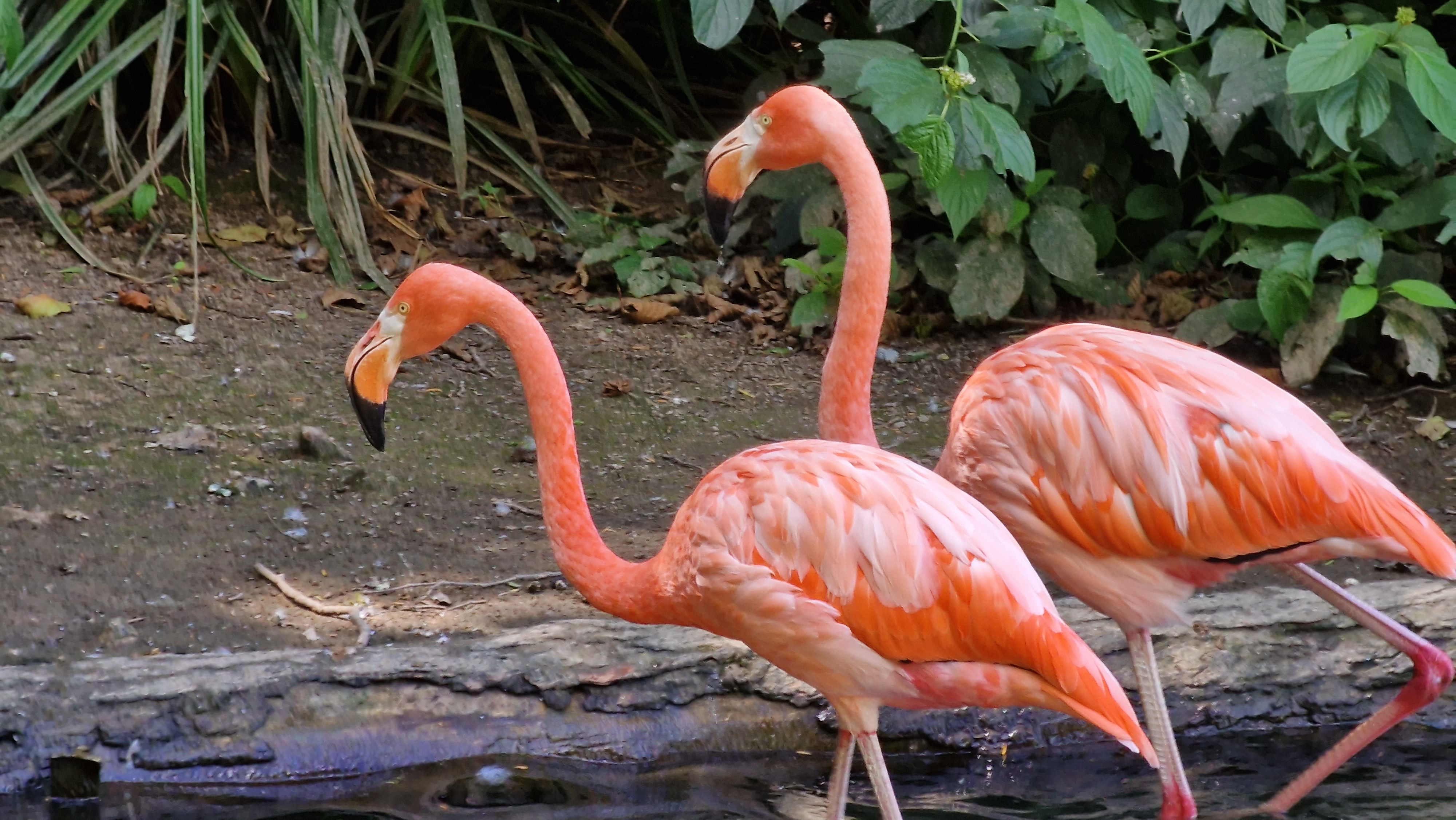 Photo n° 1 de l'avis de Xavier.E fait le 07/08/2022 à 10:27