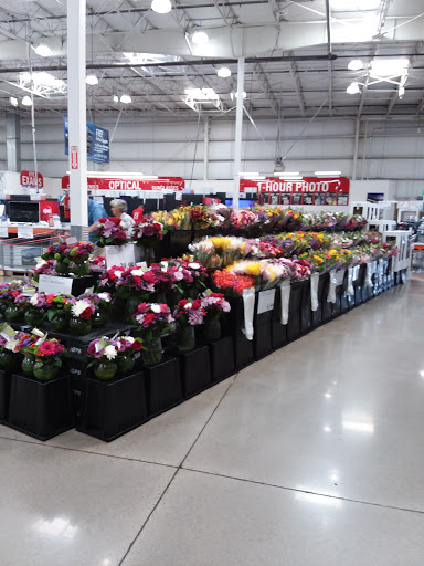 Warehouse store «Costco Wholesale», reviews and photos, 7251 Camino Arroyo, Gilroy, CA 95020, USA