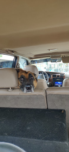 Discount Store «Dollar General», reviews and photos, 4312 Chamblee Tucker Rd, Tucker, GA 30084, USA