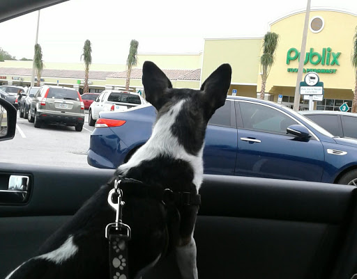 Shopping Mall «La Belle Plaza Shopping Center», reviews and photos, 1535 S Highland Ave, Clearwater, FL 33756, USA