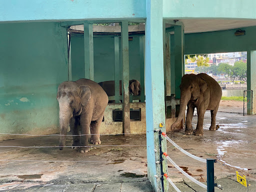 Hanoi Zoo