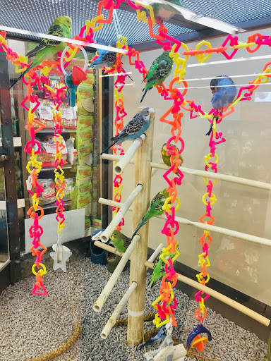 Pet Supply Store «Petco Animal Supplies», reviews and photos, 1391 NJ-35, Middletown, NJ 07748, USA