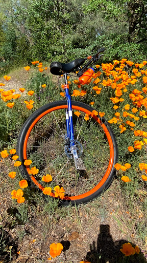 Storage Facility «BLUE RAVINE STORAGE», reviews and photos, 4000 Riley St, Folsom, CA 95630, USA