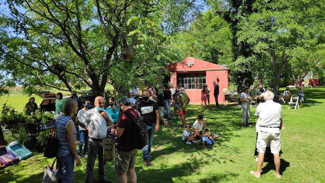 Opiniones de Mercado de la tierra. Colonia Valdense en Cardona - Frutería