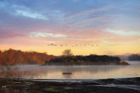 Amazed by You Photography - Photo 2 - Car repair in , Aurora