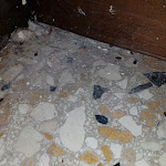 Photo n°3 de l'avis de Henrique.o fait le 06/08/2018 à 00:26 sur le  Hotel - Hostel Colombo à Venice