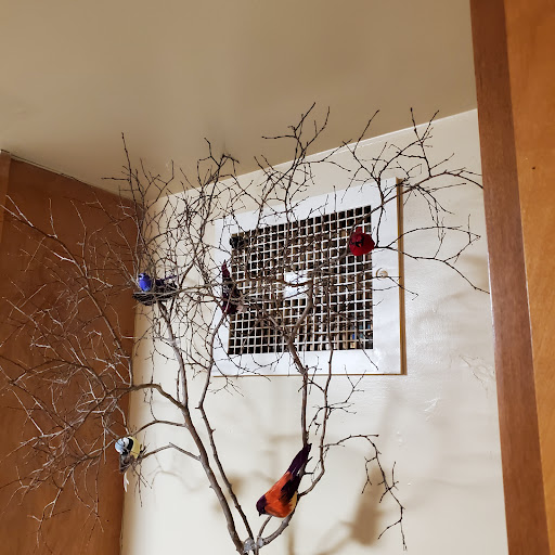 Craft Store «Michaels», reviews and photos, 2170 Coliseum Dr c, Hampton, VA 23666, USA