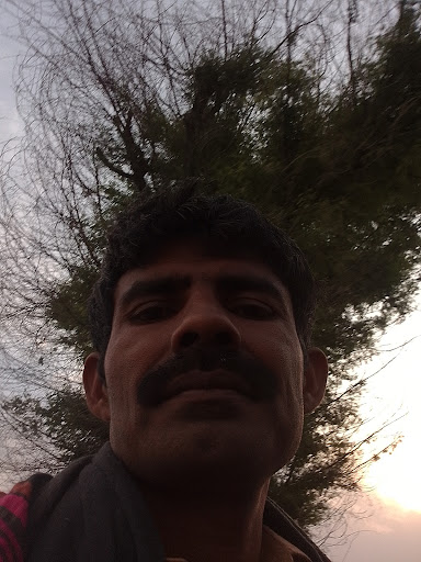 Find tattoos on chest ideas for your next unique tattoo in Chicago at Identity Body Piercing