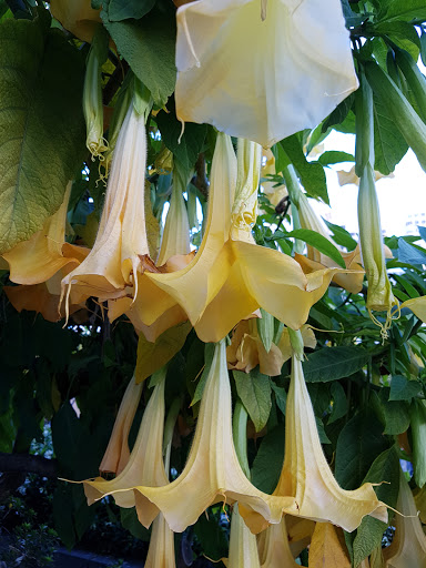 Shopping Mall «Union Square, San Francisco», reviews and photos, 333 Post St, San Francisco, CA 94108, USA