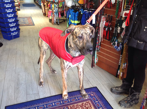 Pet Supply Store «Petport Pet Supply and Grooming Salon», reviews and photos, 40 Main St, Northport, NY 11768, USA