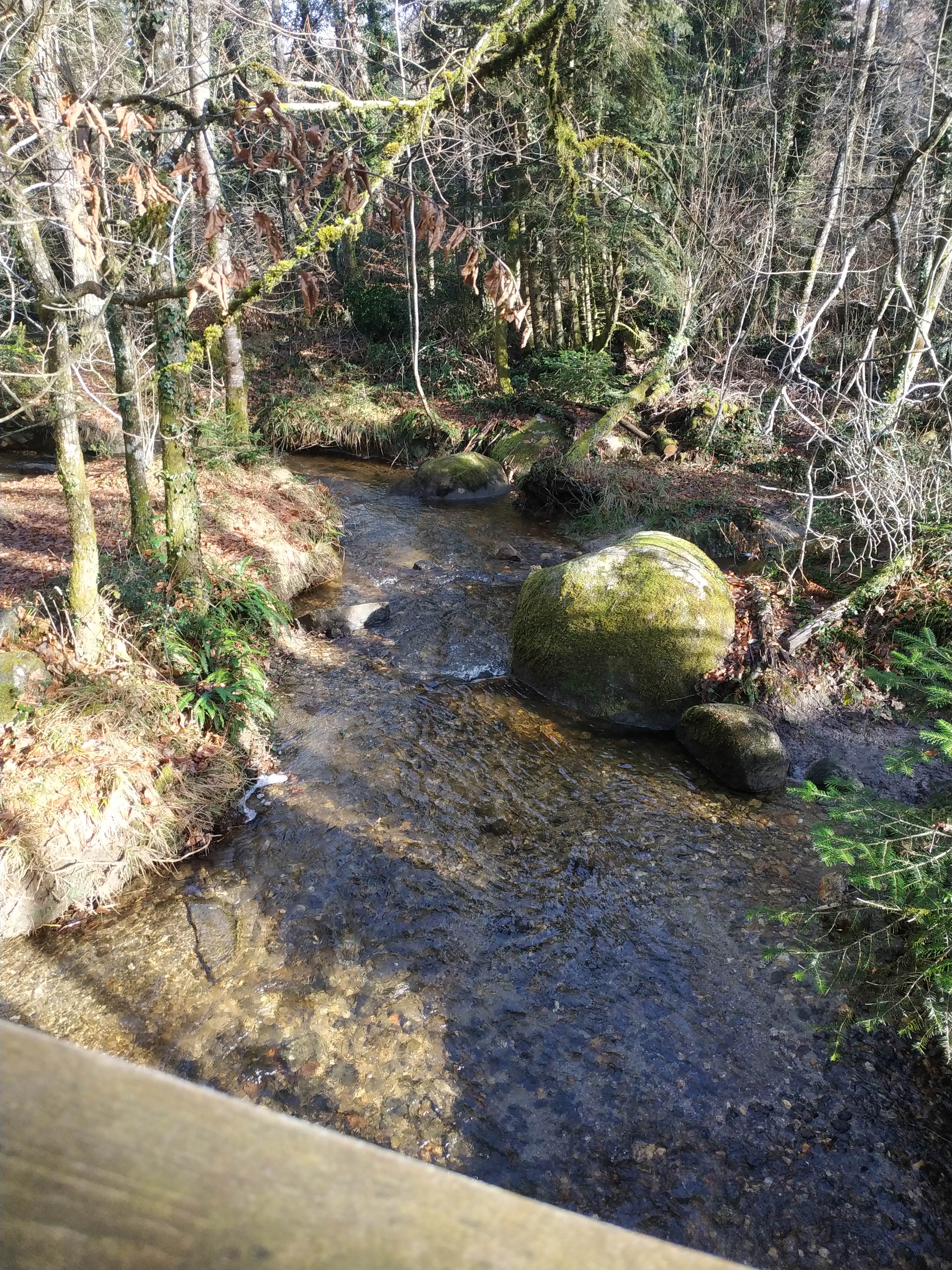 Photo n° 7 de l'avis de Corinne.a fait le 16/12/2021 à 07:10