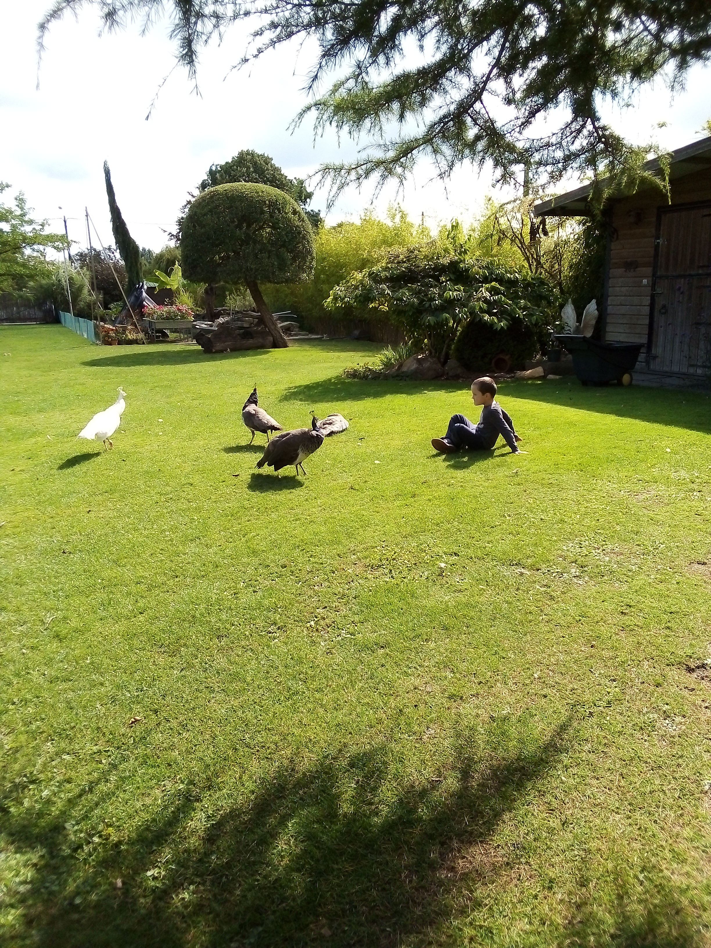 Photo n° 5 de l'avis de Stéphane.E fait le 10/09/2022 à 17:28