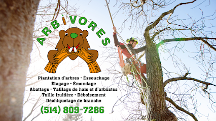 Arbivores - Services d'arbres et Émondage