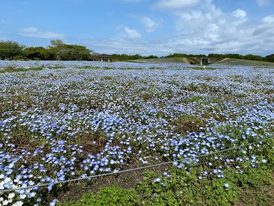 西駐車場Ａ（海の中道海浜公園）