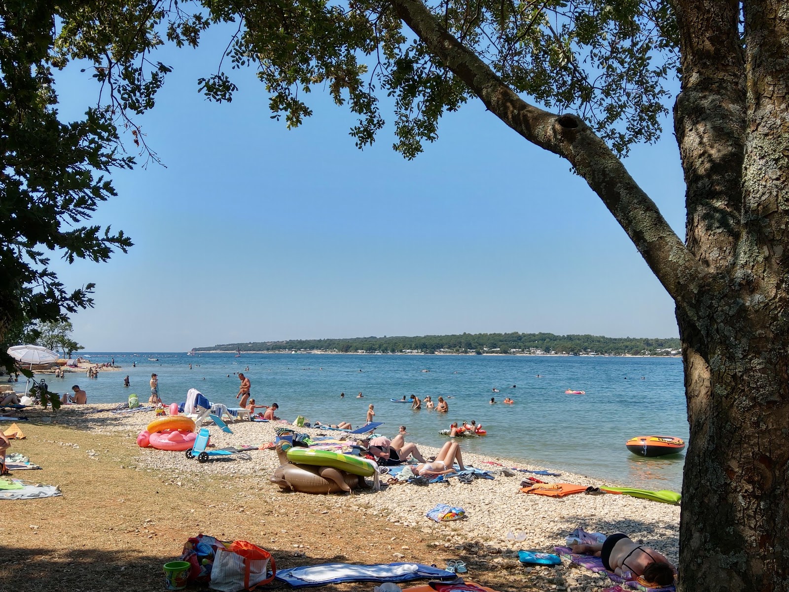 Foto av Porat beach bekvämlighetsområde