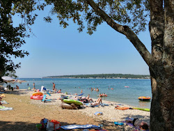 Photo de Porat beach zone des équipements