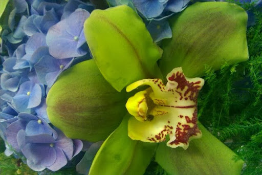 Florist «Carolina Floral Design», reviews and photos, 2127 Boundary St # 4, Beaufort, SC 29902, USA