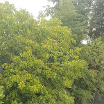 Photo n°2 de l'avis de W. fait le 30/10/2019 à 08:11 sur le  Hotel Rosenthaler Hof à Kerzenheim